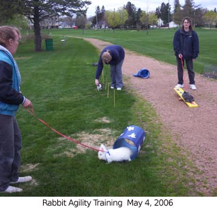 rabbitagilitytraining4 2006-05-04.jpg