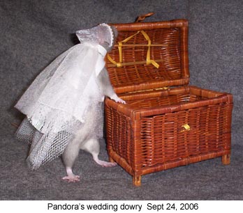 pandora dowry 2006-09-24.jpg