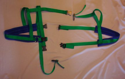 Green w/ Blue Padding Harness